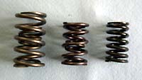 A variety of valve springs